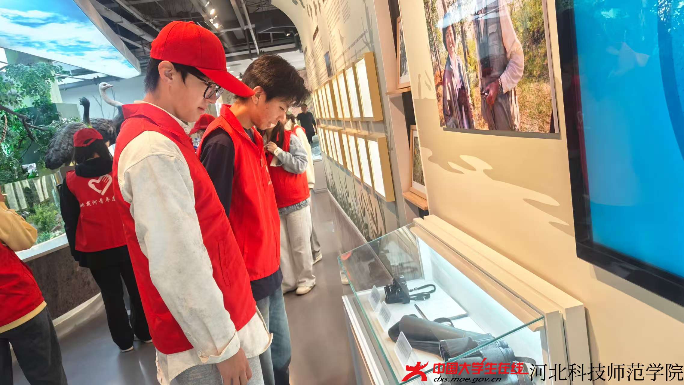 图为志愿者参观鸟类博物馆（王浡宇 摄） (2).jpg