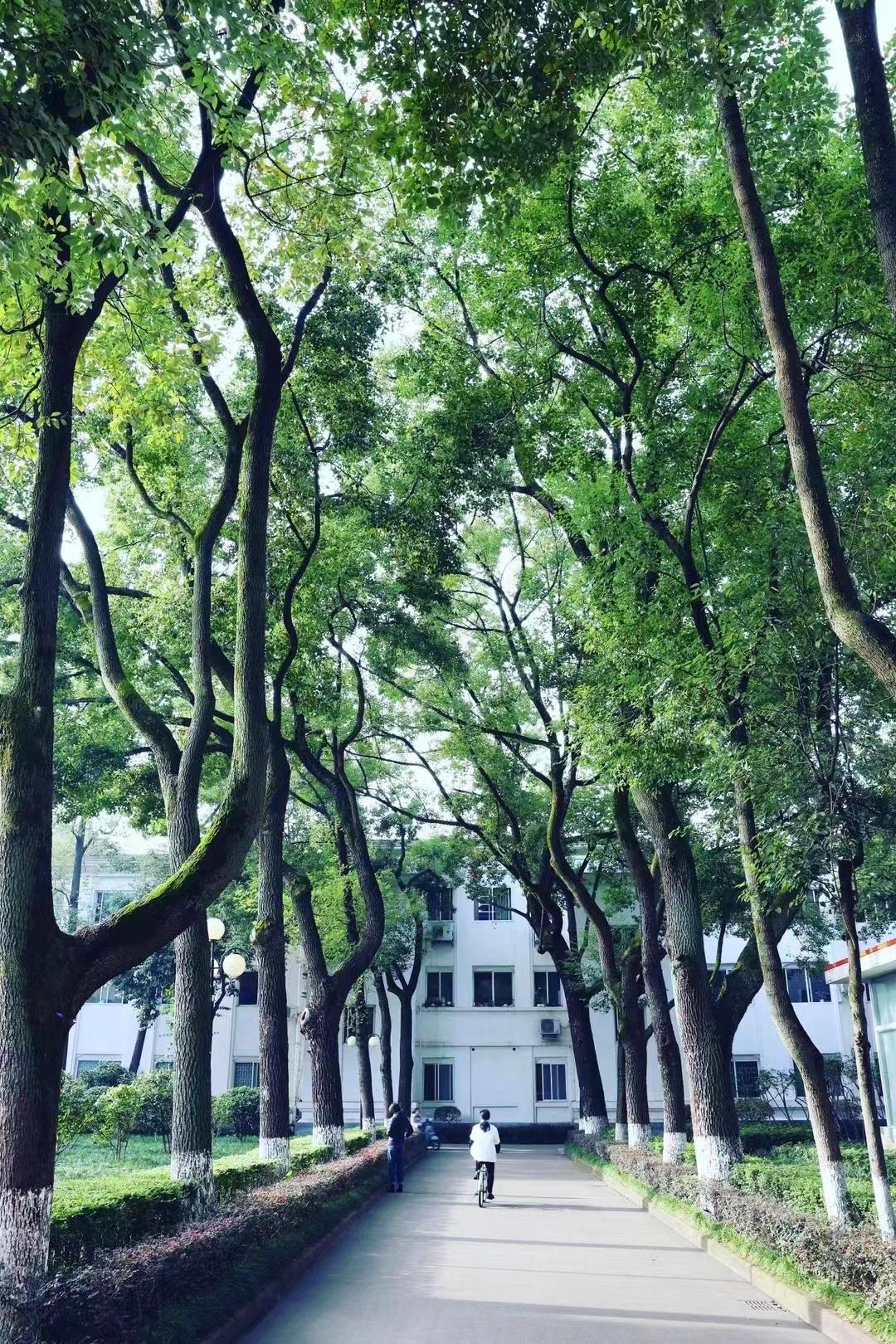 微信图片_20240222111355.jpg