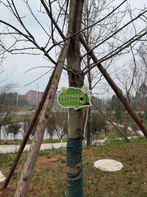image3.png